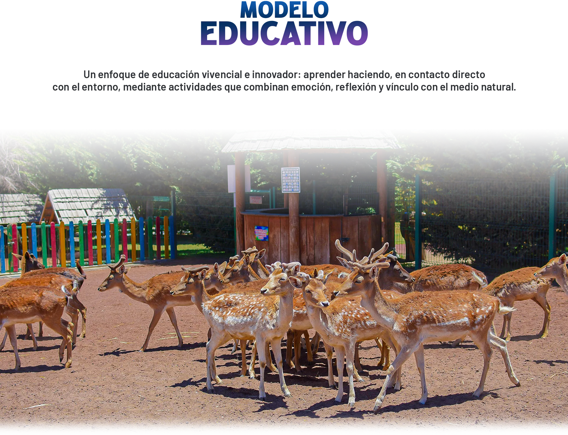 Hospedaje Volcanic Park