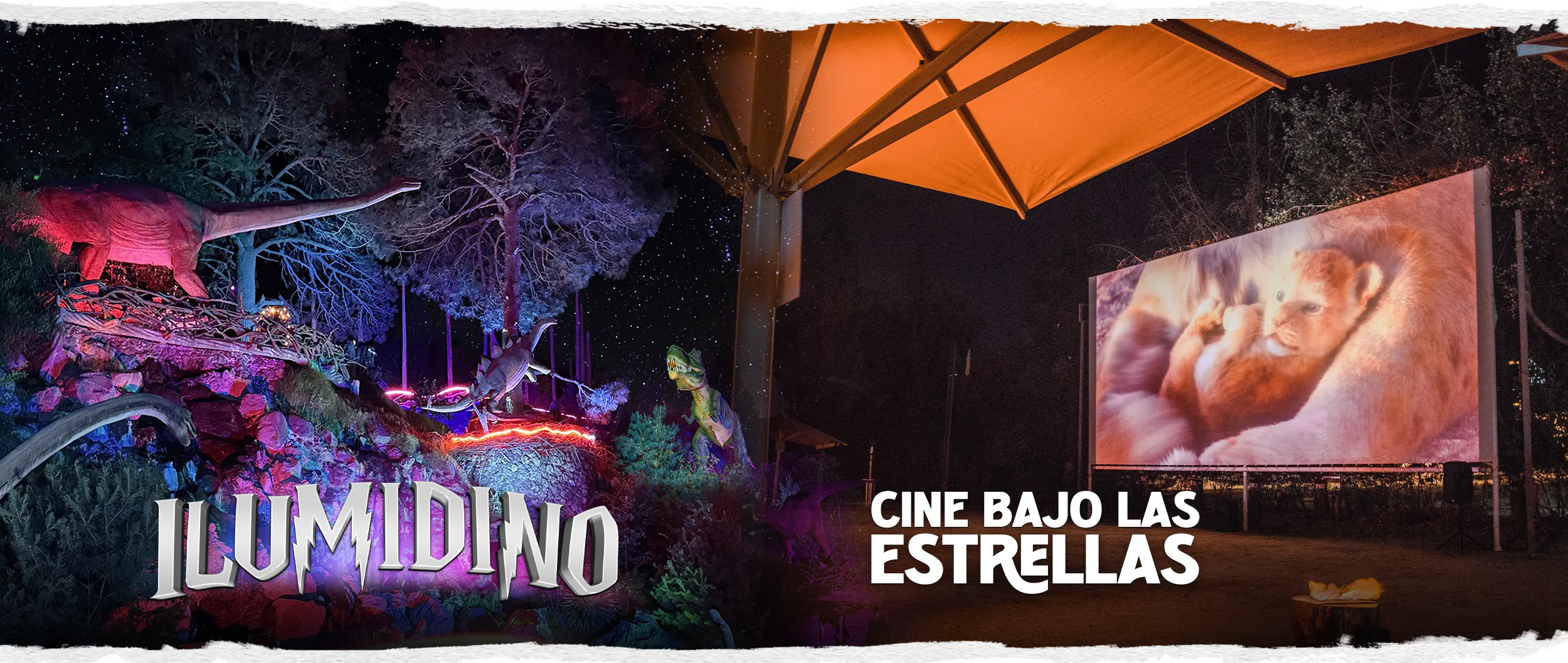 Actividades Exclusivas