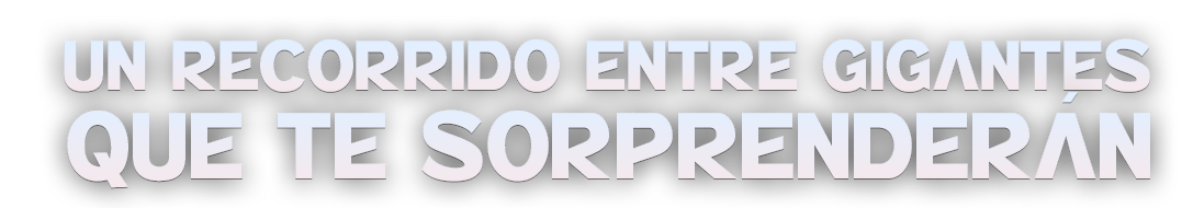 Hospedaje Volcanic Park