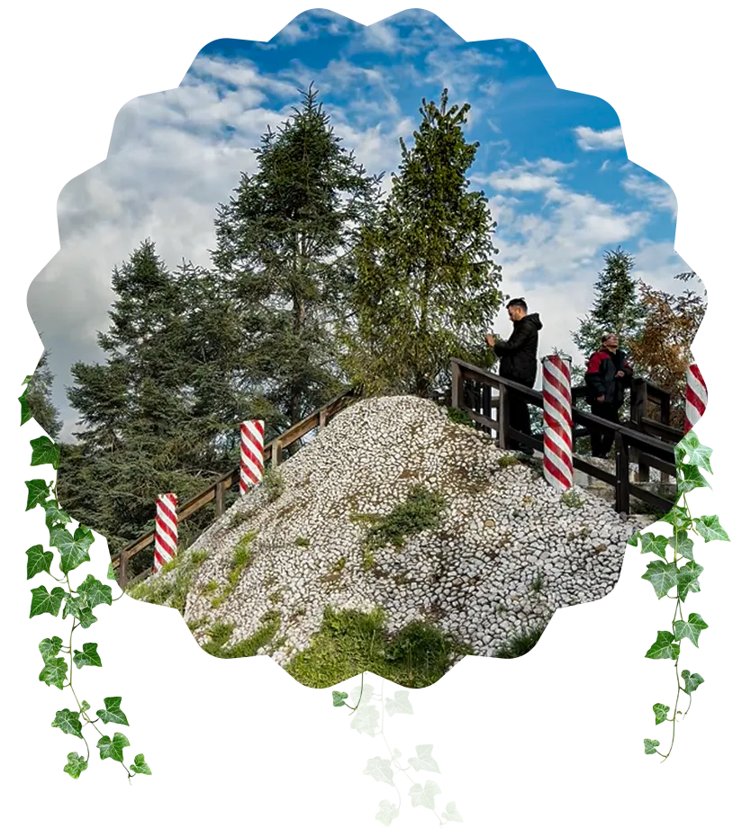 Hospedaje Volcán Jurásico