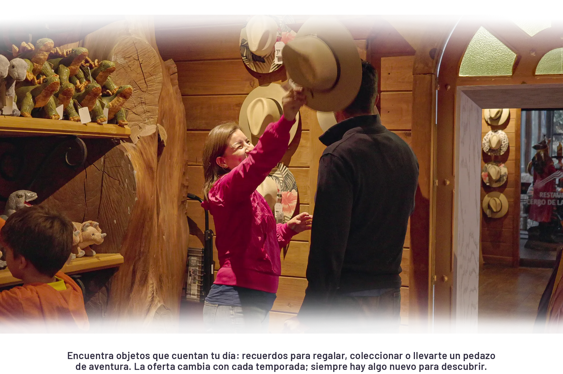 Hospedaje Volcanic Park